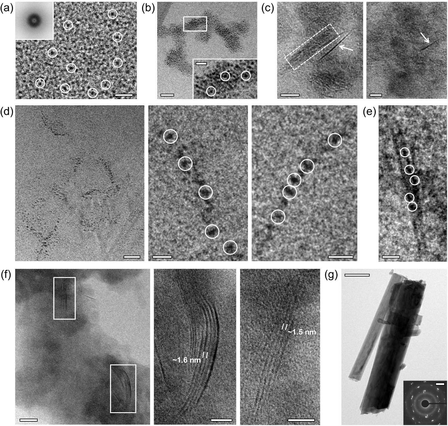 Figure 5:cryo-TEM 直接观察石膏成核中的纳米物种、无序聚集体、一维链、二维原晶格与晶体